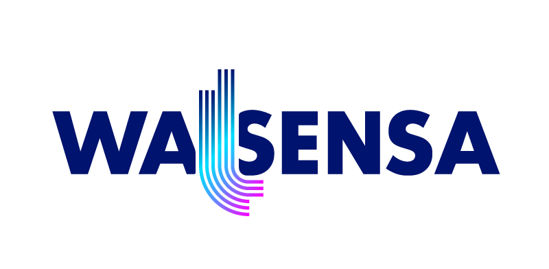 Wallsensa LOGO COULEUR
