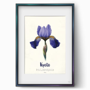 ws floramundi 004 affiche kyoto iris sacre 01