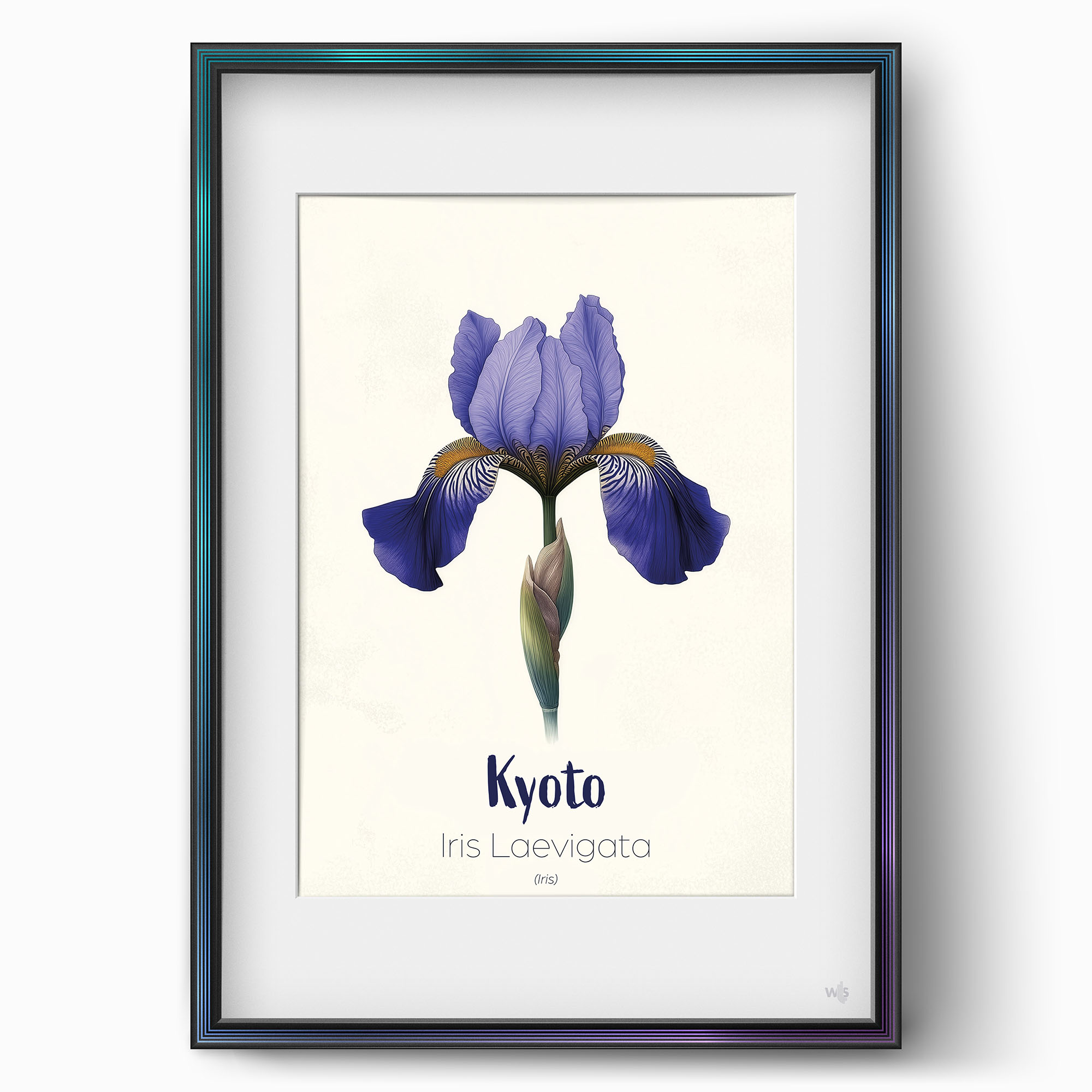 ws floramundi 004 affiche kyoto iris sacre 01
