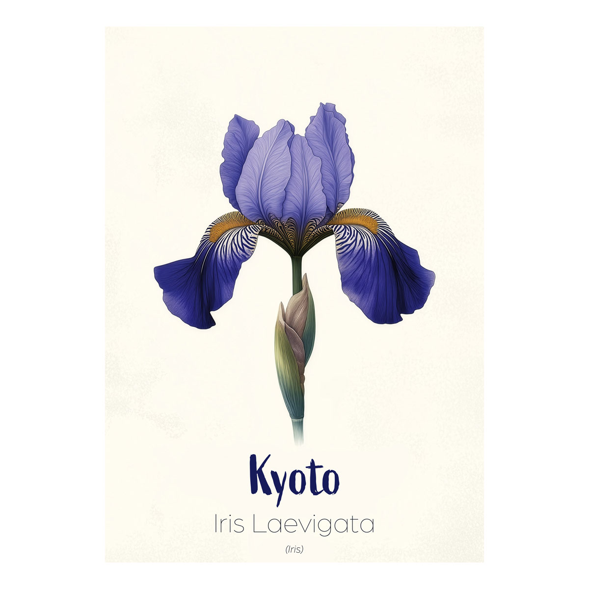 ws floramundi 004 affiche kyoto iris sacre affiche fond blanc