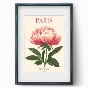 ws floramundi 004 affiche paris pivoine pastel 01